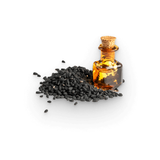 Schwarzkümmel-Extrakt